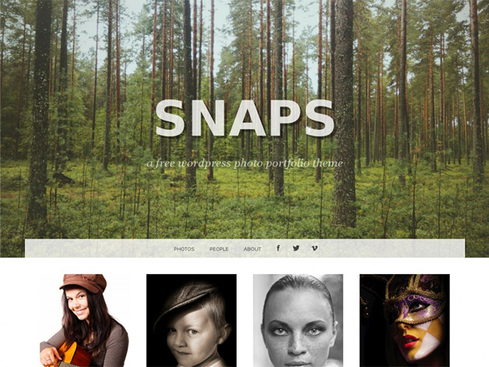 snaps WordPress theme