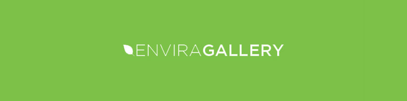 envira gallery crack license key envira gallery crack license key