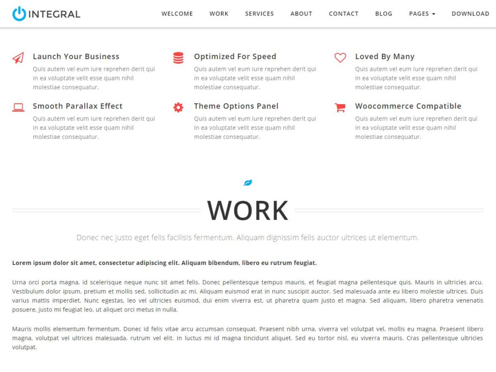 Intergral WordPress theme Work Section