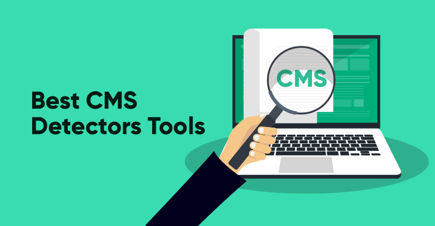 Best CMS Detector Tools